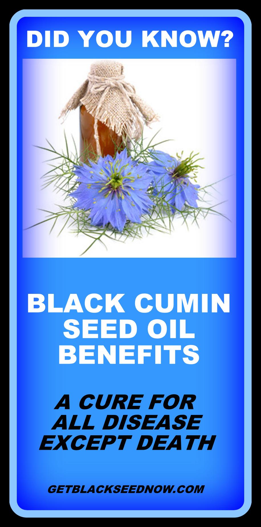 Black cumin seed oil  Picture